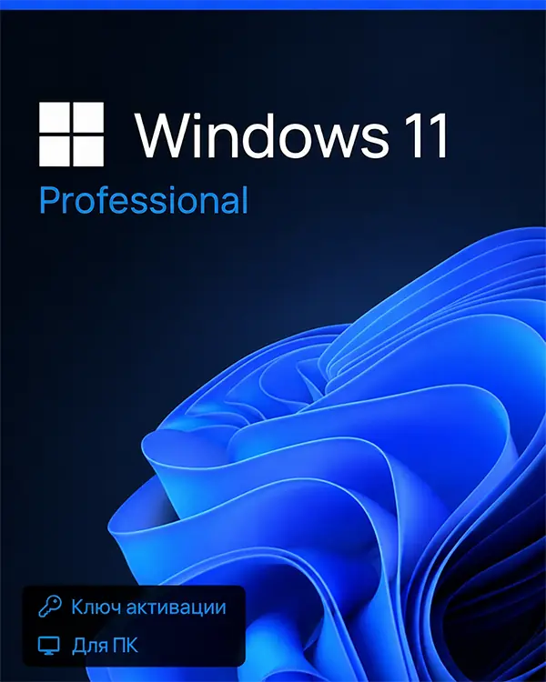 Windows 11 Professional